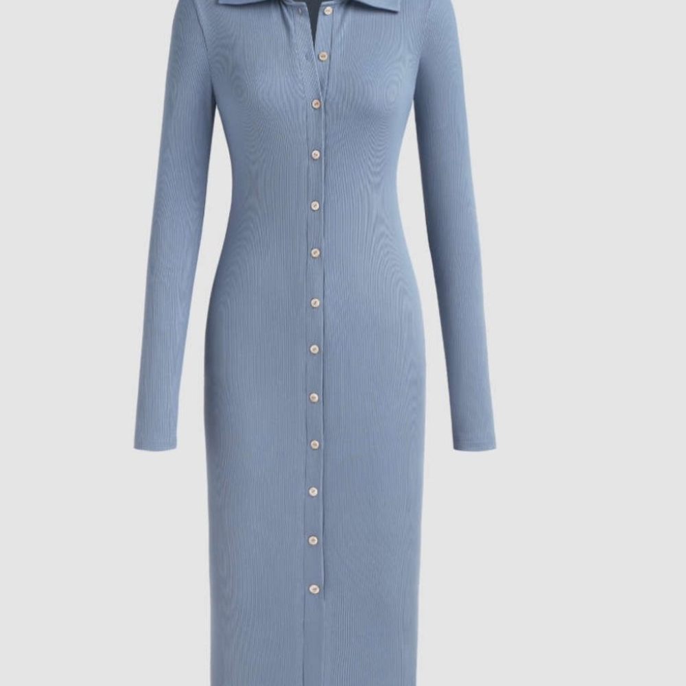 Cider Long Sleeve Button-Down Dress in Blue